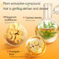 Anti-Hair Loss Shampoo