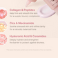 🌸Collagen Sunscreen 🌸| SPF 50 Broad Spectrum Face Sunscreen | Lightweight, Non-Sticky, Hydrating Formula | No White Cast or Residue | Peptide, Cica for Soothing & Natural Glow