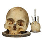 🔥 LAST DAY PROMOTION - 50%OFF 🔥 Gothic Skull Knife Holder