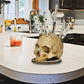 🔥 LAST DAY PROMOTION - 50%OFF 🔥 Gothic Skull Knife Holder