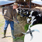 🎉Household Farming Grass Shredder Knife Blades