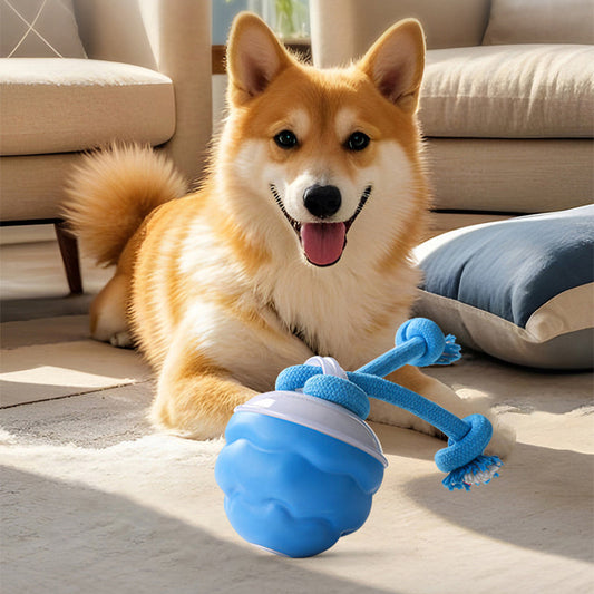 🐾 50% OFF NOW! 🎾 Interactive Electronic Pet Toy Ball – Auto-Motion, Chew-Resistant & Calming for Cats/Dogs, Soothing Boredom 🔋✨📦