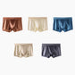 🔥Men's Satin Ice Silk Briefs