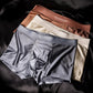 🔥Men's Satin Ice Silk Briefs