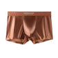 🔥Men's Satin Ice Silk Briefs