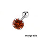 Women's Titanium Brilliant Stud Earrings