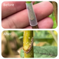 ✨ 50pcs Silicone Grafting Sleeves – Flexible, Durable & Promotes Fruit Tree Healing 🌳✨