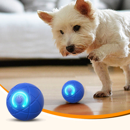 📢📢50% OFF !! ⏰Interactive bouncing ball specially designed for dogs.🐾🐾