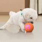 📢📢50% OFF !! ⏰Interactive bouncing ball specially designed for dogs.🐾🐾