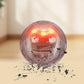 📢📢50% OFF !! ⏰Interactive bouncing ball specially designed for dogs.🐾🐾