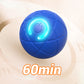 📢📢50% OFF !! ⏰Interactive bouncing ball specially designed for dogs.🐾🐾