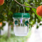 Solar-Powered Fruit Fly Trap ☀️