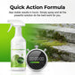 ⏰🎁Outdoor Moss & Algae Remover Spray