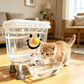 🎁2026 New Arrivals 50% OFF💥Pet Water Dispenser with Large Capacity