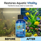 🐠 50% OFF Aquarium Water Treatment Solution