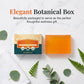 Gentle Cleansing Persimmon Soap