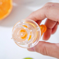 Manual Citrus Press Fruit Juicer