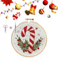 ⏳Limited-time 50% off⏰Christmas Embroidery Kit🎅🪡