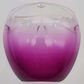 All-Day Comfort Face & Eye Protector