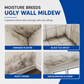 📢📢50% OFF !! ⏰Multi-Purpose Mold & Mildew Remover Spray